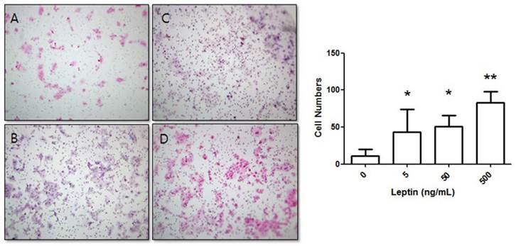 Int J Med Sci Image