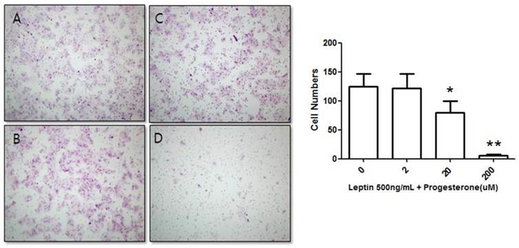 Int J Med Sci Image