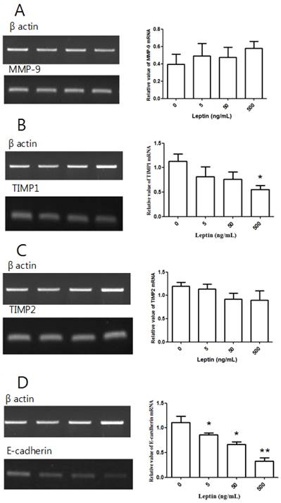 Int J Med Sci Image