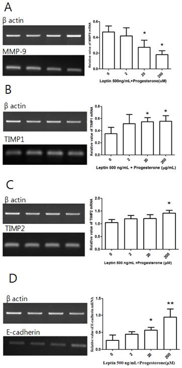 Int J Med Sci Image