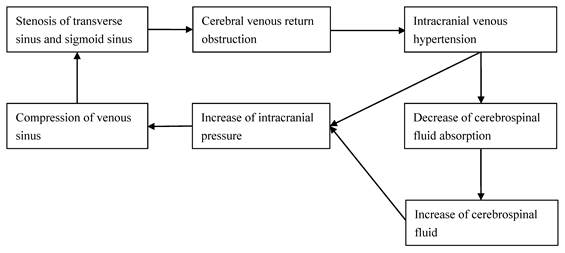 Int J Med Sci Image