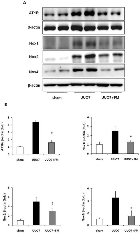 Int J Med Sci Image