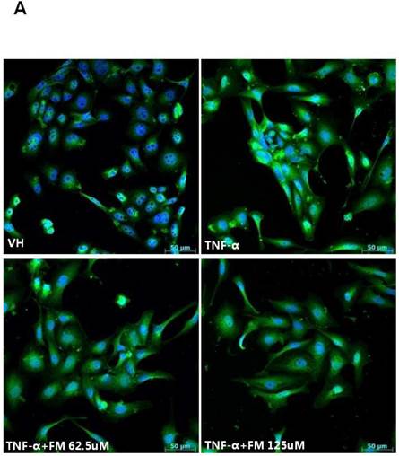 Int J Med Sci Image