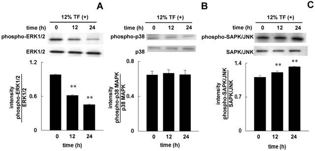 Int J Med Sci Image