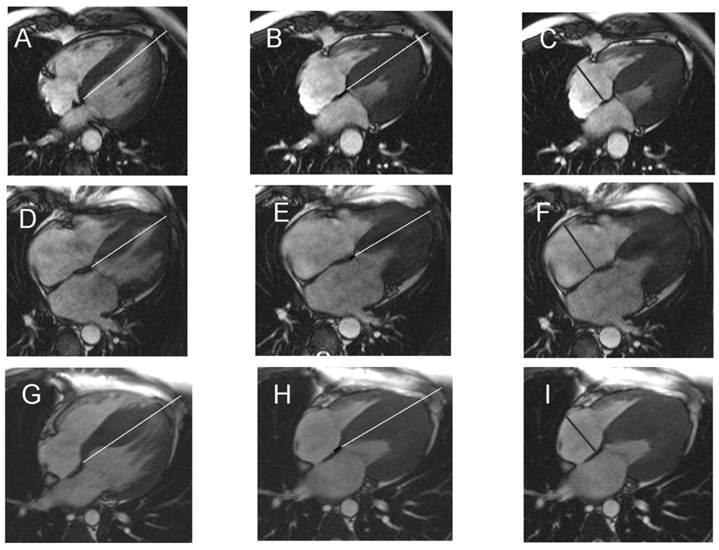 Int J Med Sci Image