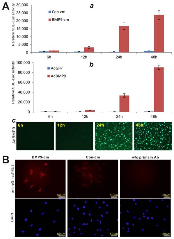 Int J Med Sci Image