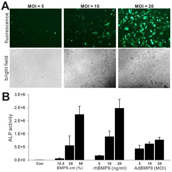 Int J Med Sci Image