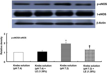 Int J Med Sci Image