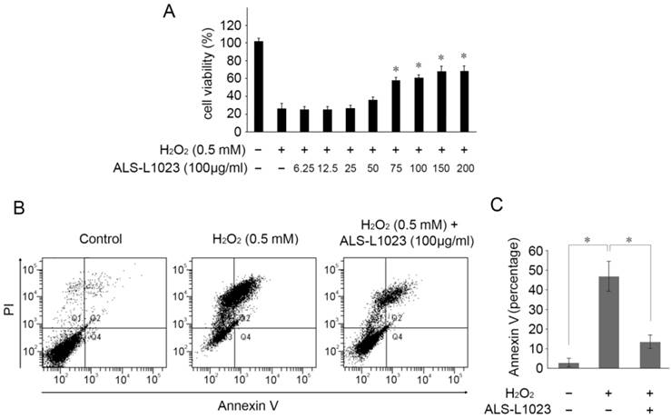 Int J Med Sci Image