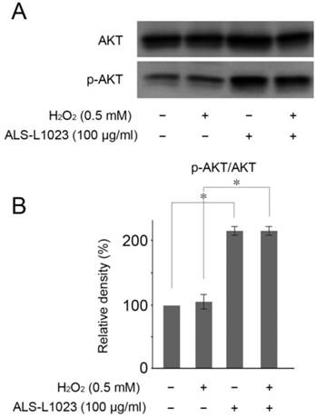 Int J Med Sci Image