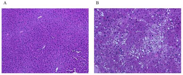 Int J Med Sci Image