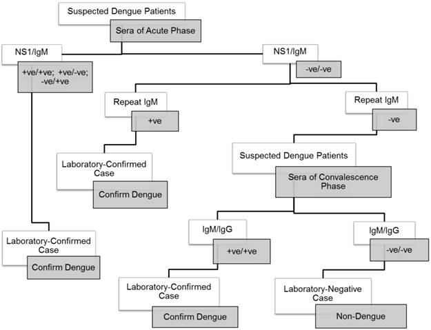 Int J Med Sci Image