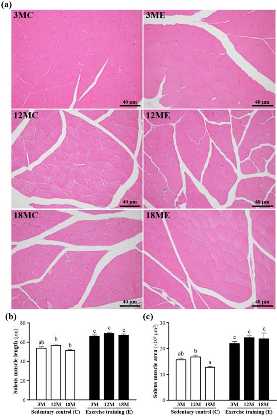 Int J Med Sci Image