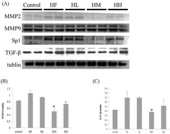 Int J Med Sci Image