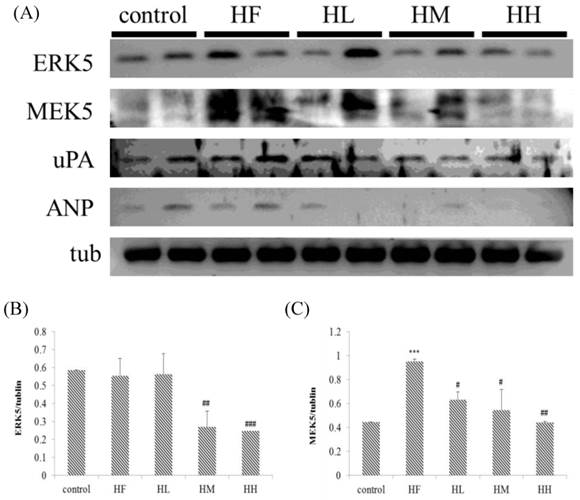 Int J Med Sci Image