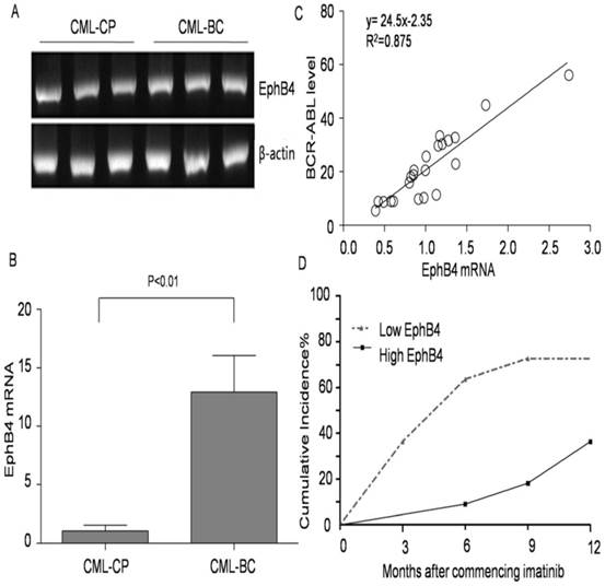 Int J Med Sci Image