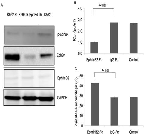 Int J Med Sci Image