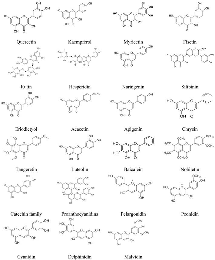 Int J Med Sci Image