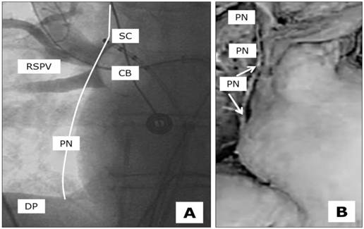 Int J Med Sci Image