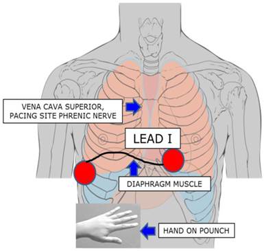 Int J Med Sci Image