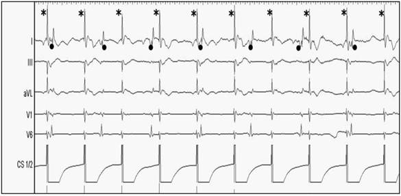 Int J Med Sci Image