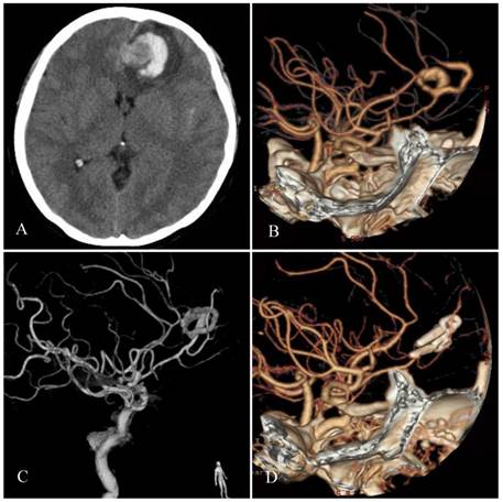 Int J Med Sci Image