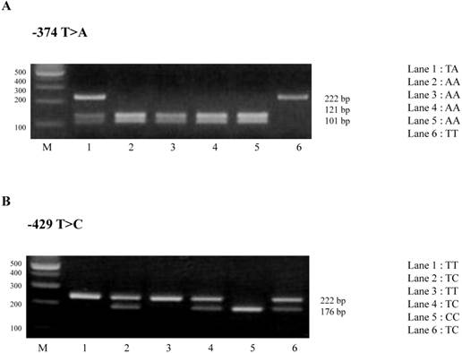 Int J Med Sci Image