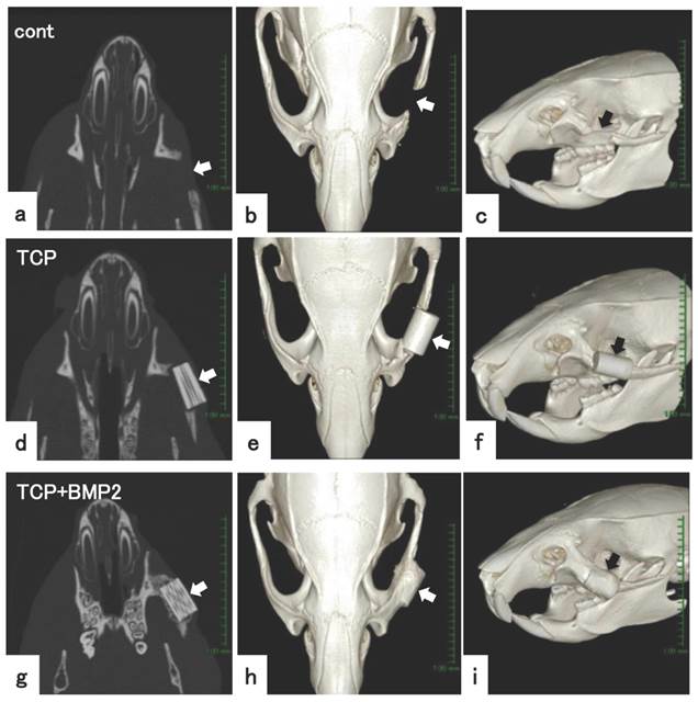 Int J Med Sci Image