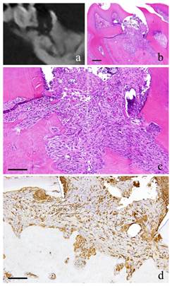 Int J Med Sci Image