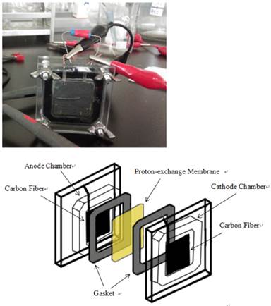 Int J Med Sci Image