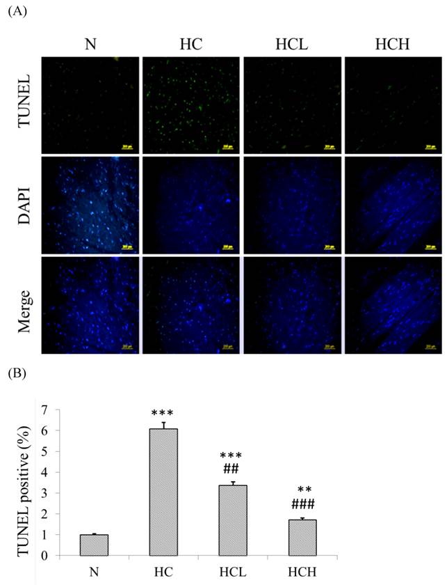 Int J Med Sci Image