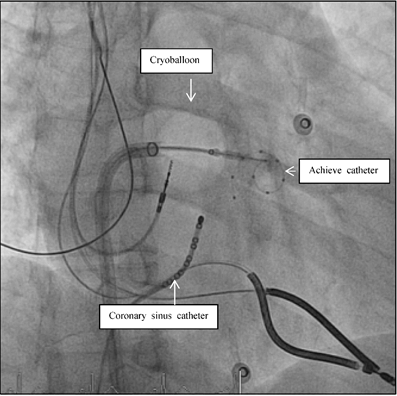 Int J Med Sci Image