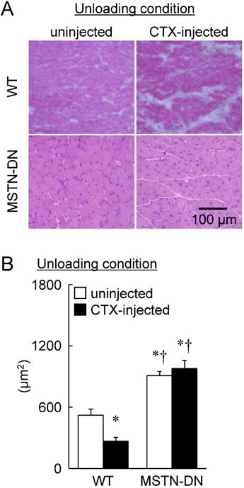 Int J Med Sci Image