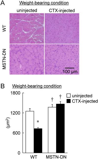 Int J Med Sci Image