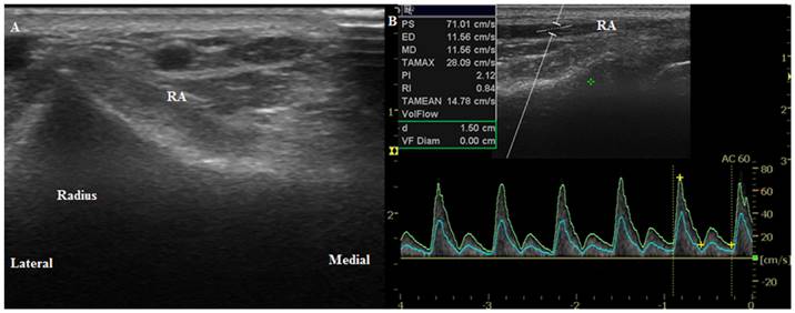 Int J Med Sci Image