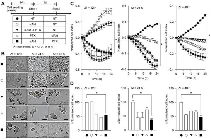 Int J Med Sci Image