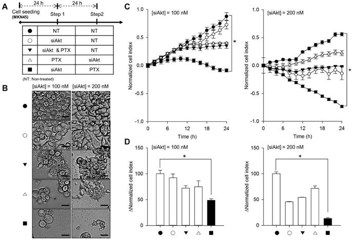 Int J Med Sci Image