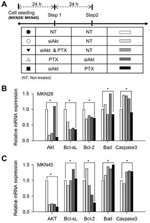 Int J Med Sci Image