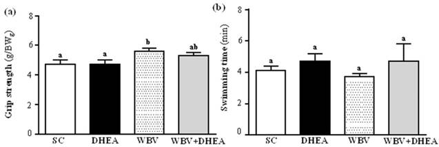 Int J Med Sci Image