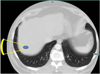 Int J Med Sci Image