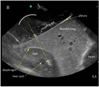 Int J Med Sci Image