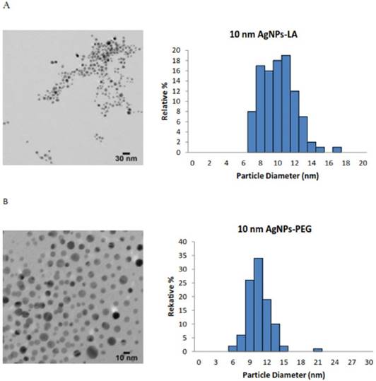 Int J Med Sci Image