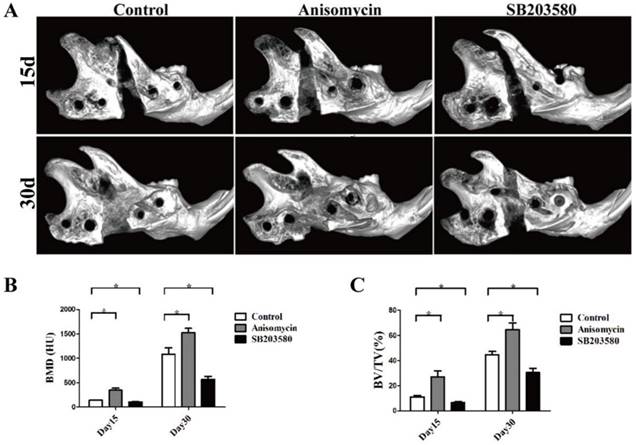 Int J Med Sci Image