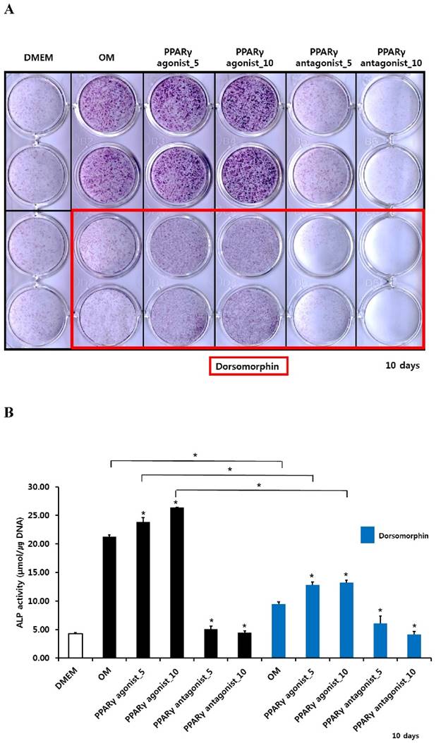 Int J Med Sci Image