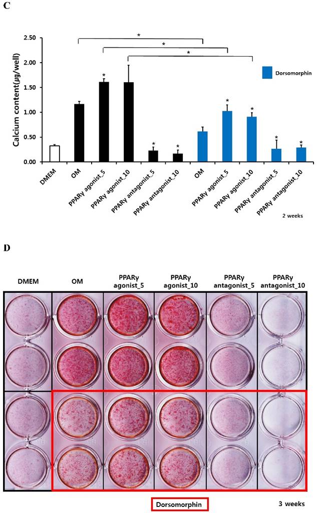 Int J Med Sci Image