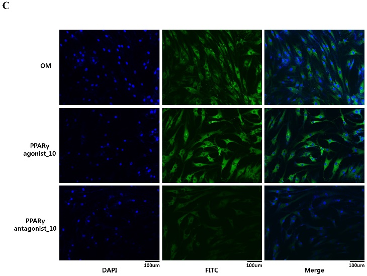 Int J Med Sci Image