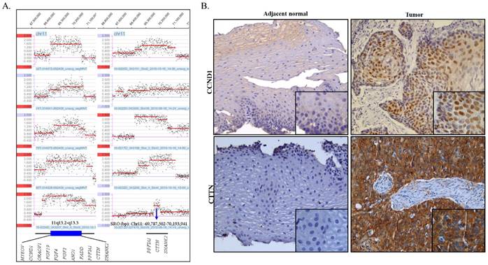 Int J Med Sci Image