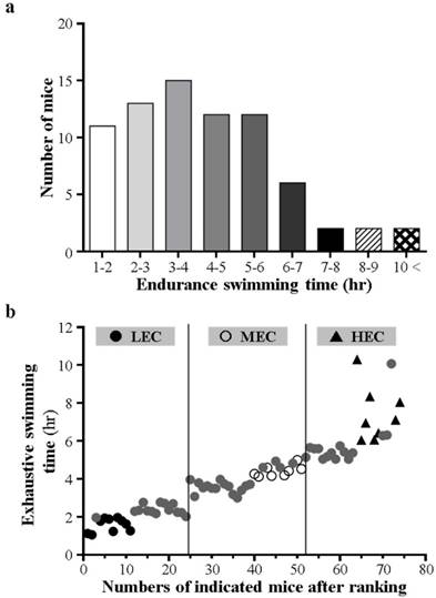 Int J Med Sci Image