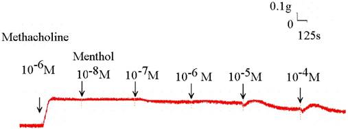 Int J Med Sci Image