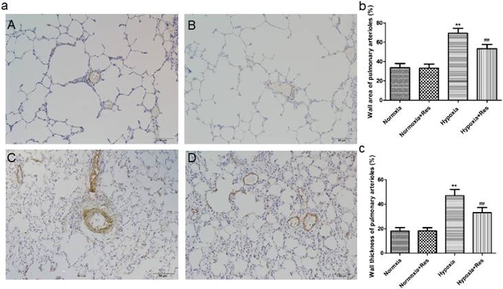 Int J Med Sci Image